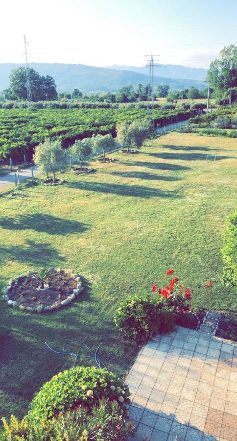 Casa Nita Διαμέρισμα Ούλτσιν Εξωτερικό φωτογραφία